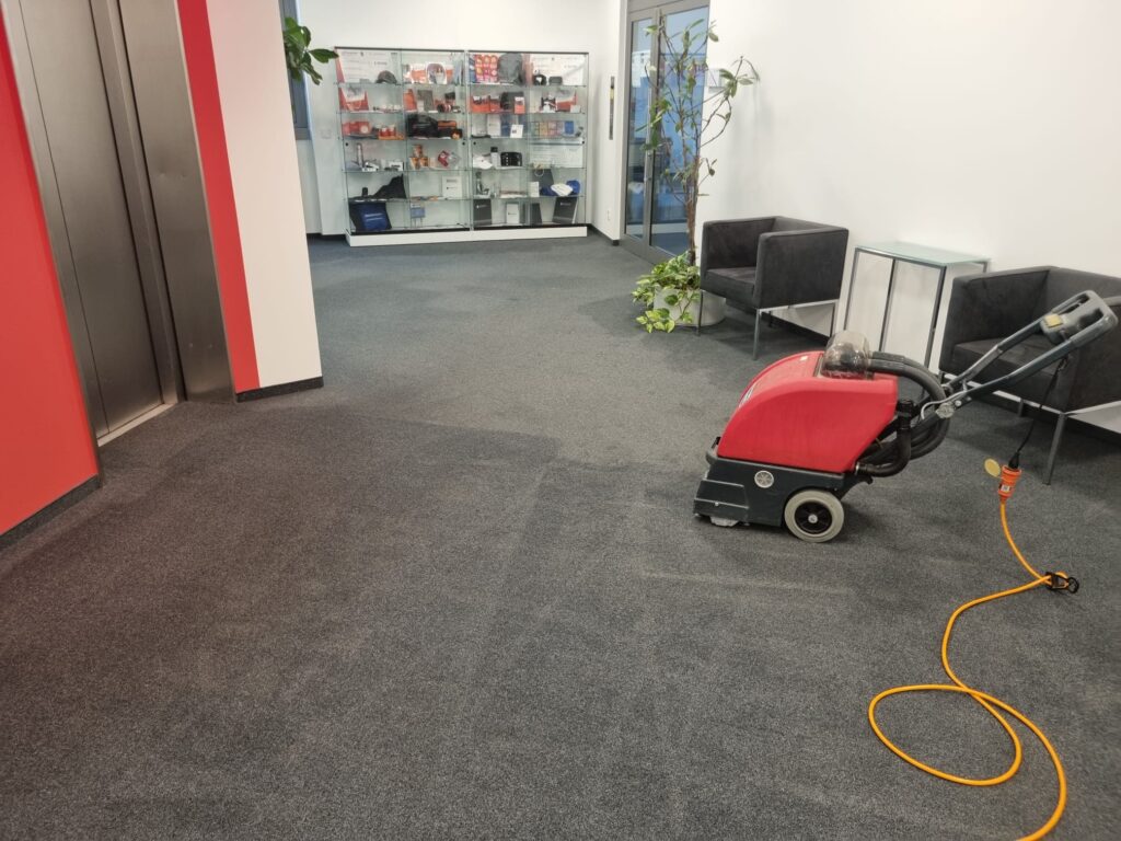 professionelle reinigung