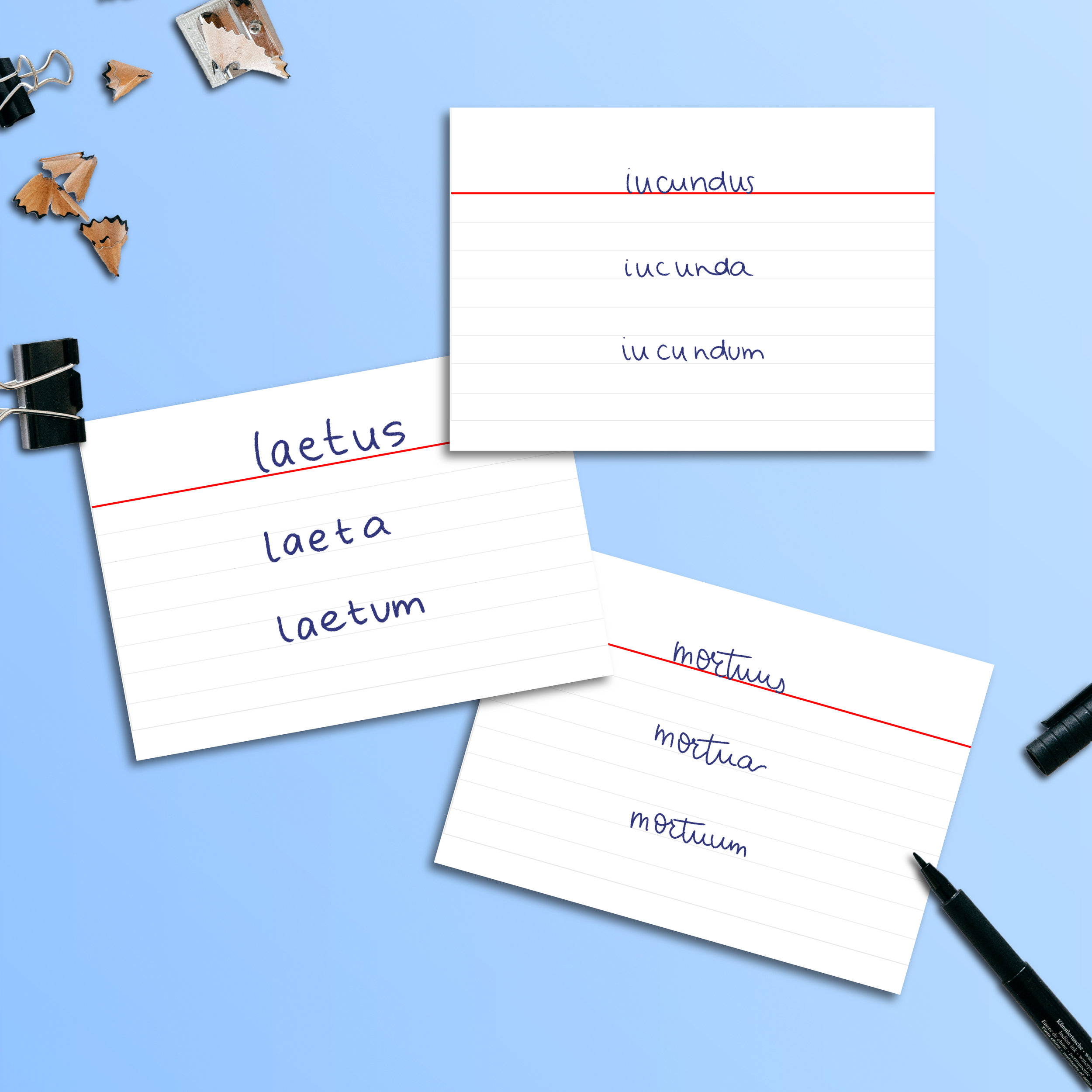 Effektives Vokabellernen mit Karteikarten: Tipps und Tricks