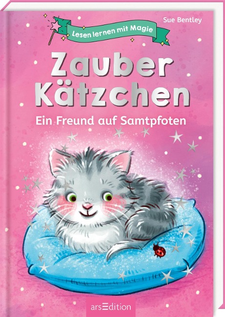 lesen lernen buch