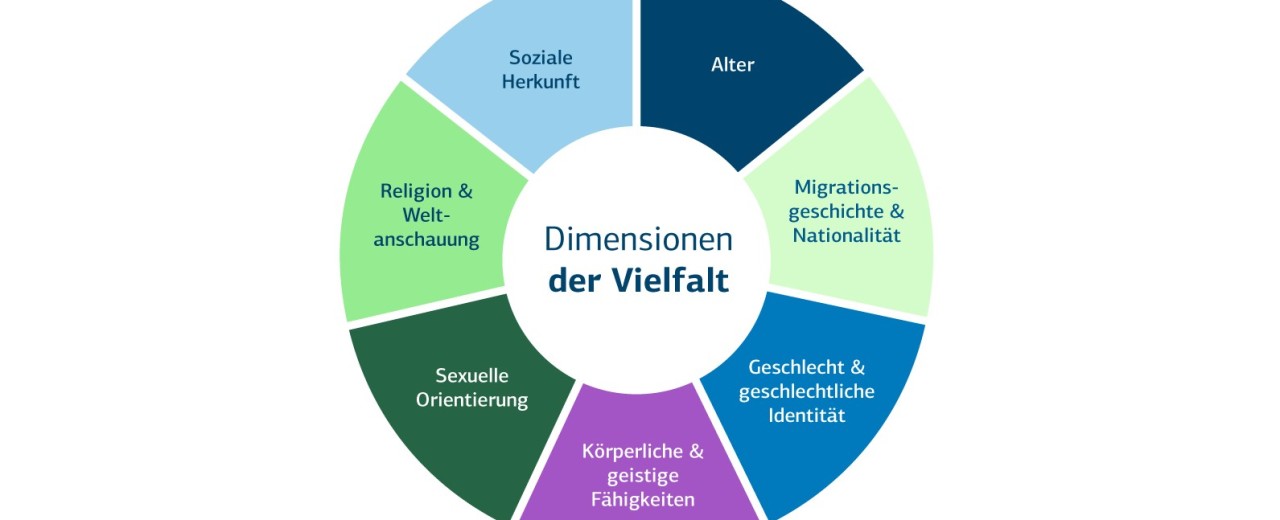 dimensionen diversität